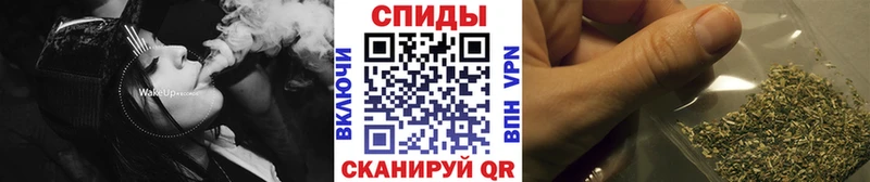 дарнет шоп  Новосокольники  БУТИРАТ 1.4BDO 