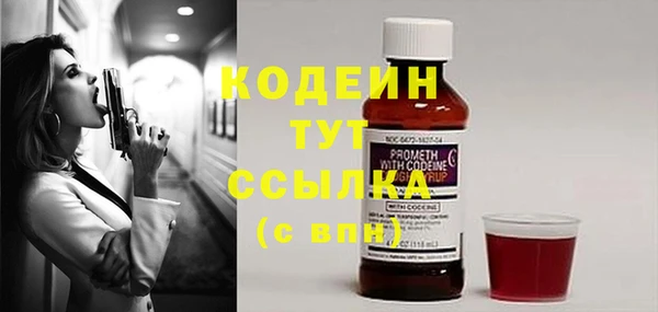 шишки Сосновый Бор