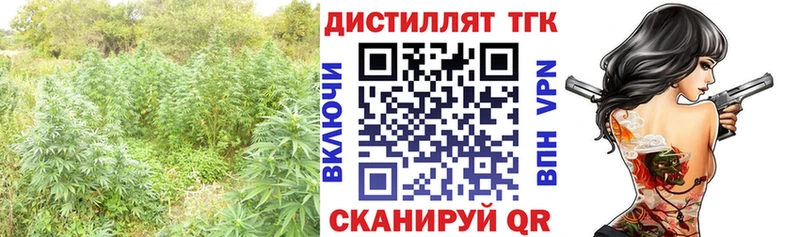 ТГК Wax  Новосокольники 