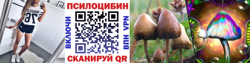 Галлюциногенные грибы Magic Shrooms  Новосокольники 