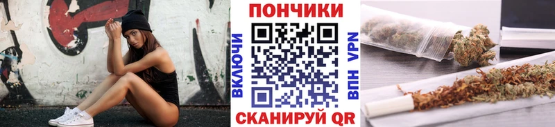Марихуана сатива  Новосокольники 
